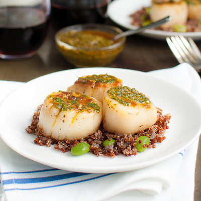 Seared scallops topped with chermoula served with some red quinoa on a white plate.