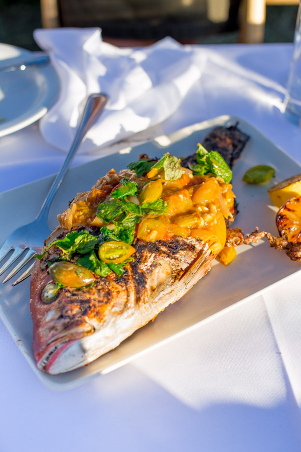 Roasted whole fish topped with roasted tomatoes.