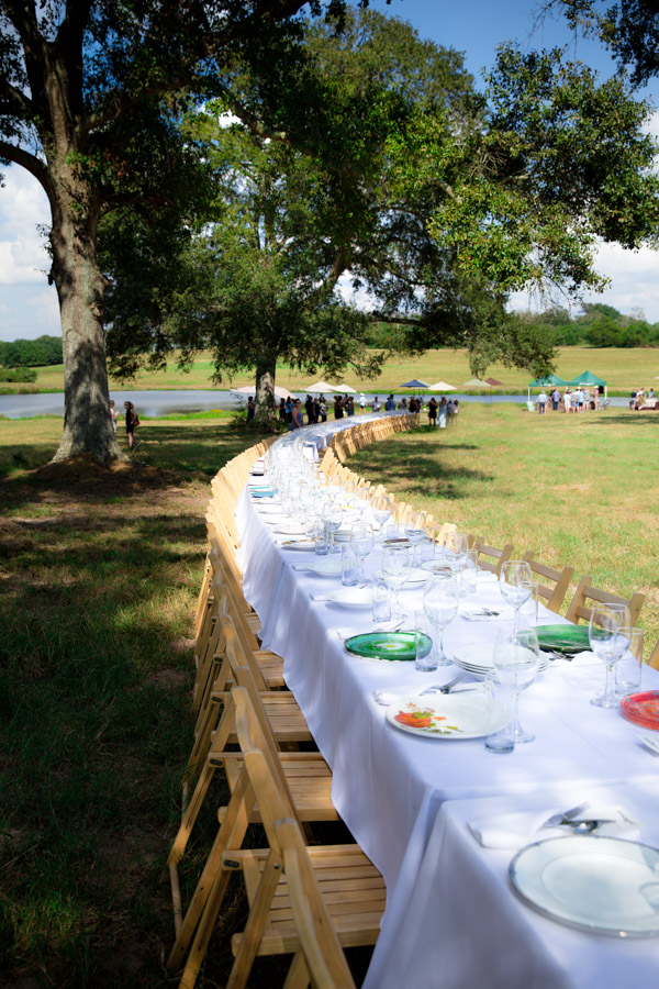 A long curved table under some trees.