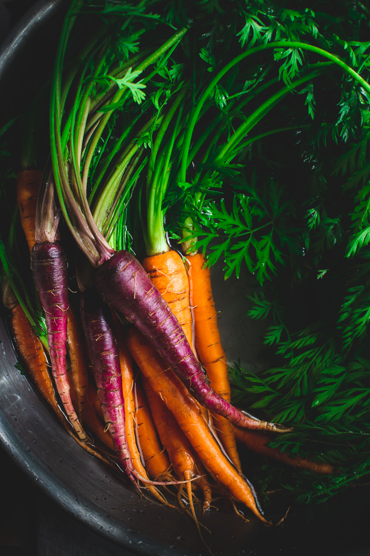 Rainbow carrots in a bowl of water.