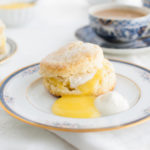 Cream scone, lemon curd, and whipped cream on a china plate.