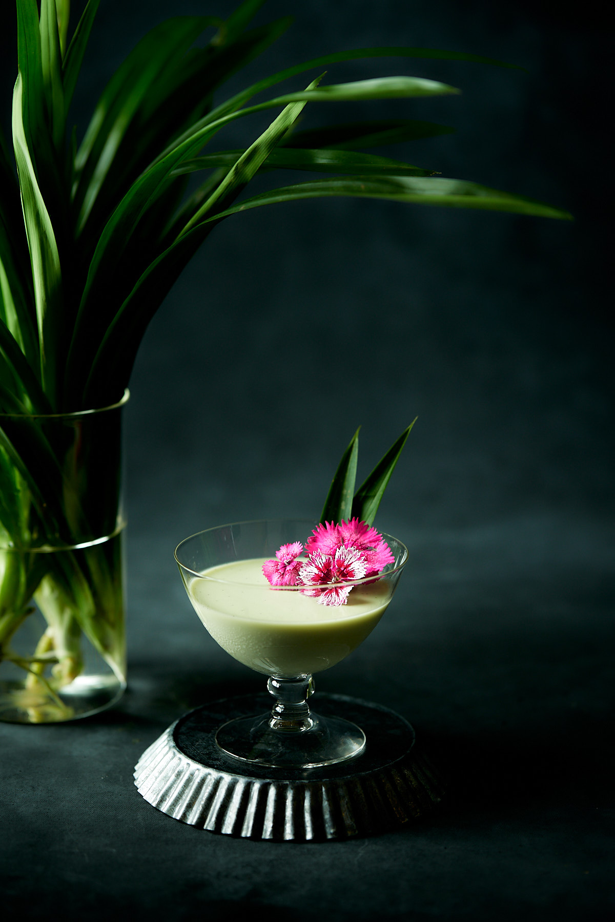 Pandan panna cotta in a short stem glass with pandan leaves in background.